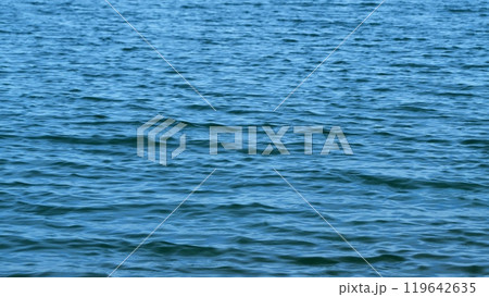 Sea And Water Surface. Texture Of Sea. Light Reflected On Water Surface. Close up. 119642635