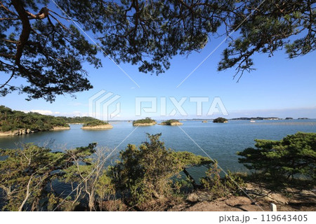 馬の背より松島海岸を望む 119643405
