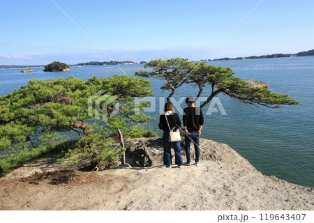 馬の背より松島海岸を望む 119643407