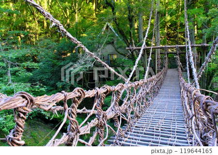 祖谷のかずら橋 徳島県 祖谷のかずら橋 徳島県 119644165