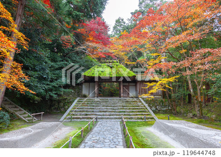 晩秋の法然院 晩秋の法然院 119644748