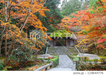 晩秋の法然院 119644776