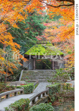 晩秋の法然院 晩秋の法然院 119644794