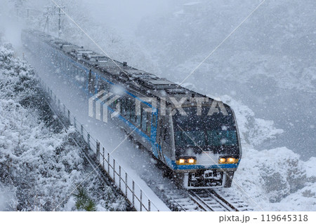 雪降る土讃線を行く特急「南風」（JR四国 2000系） 119645318