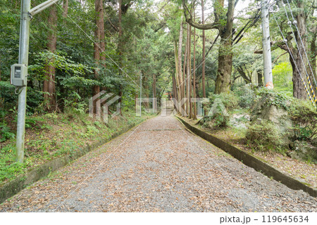 若山神社(大阪府島本町) 若山神社(大阪府島本町) 119645634