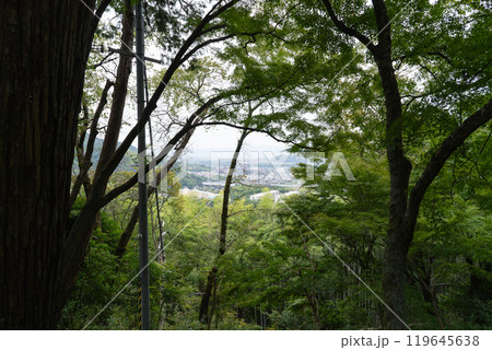 若山神社の淀川三川合流眺望(大阪府島本町) 若山神社の淀川三川合流眺望(大阪府島本町) 119645638