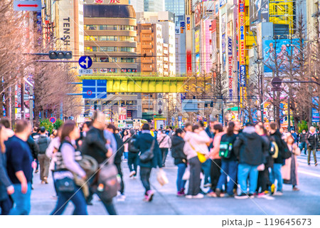 日本の東京都市景観 インバウンド…外国人観光客らで賑わう秋葉原の歩行者天国などを望む…＝18日 119645673