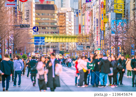 日本の東京都市景観 外国人観光客らで賑わう秋葉原の歩行者天国などを望む…＝18日 119645674