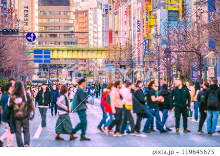 日本の東京都市景観インバウンド… 外国人観光客らで賑わう秋葉原の歩行者天国などを望む…=18日 日本の東京都市景観インバウンド… 外国人観光客らで賑わう秋葉原の歩行者天国などを望む…=18日 119645675