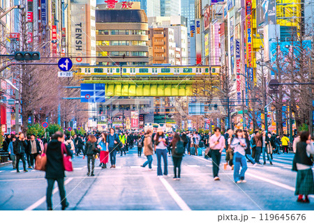 日本の東京都市景観 外国人観光客らで賑わう秋葉原の歩行者天国などを望む…＝18日 119645676