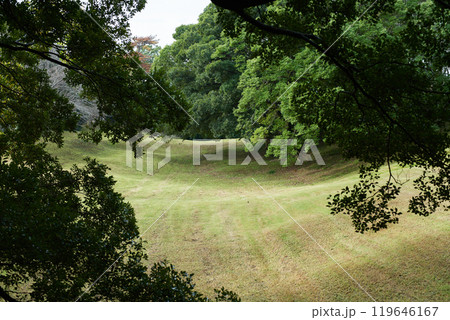 芝生が続く朝の散歩道 芝生が続く朝の散歩道 119646167