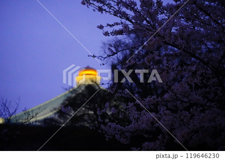 九段下 千鳥ヶ淵 靖国神社 のライトアップされた美しい夜桜 九段下 千鳥ヶ淵 靖国神社 のライトアップされた美しい夜桜 119646230