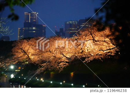 九段下 千鳥ヶ淵 靖国神社 のライトアップされた美しい夜桜 九段下 千鳥ヶ淵 靖国神社 のライトアップされた美しい夜桜 119646238