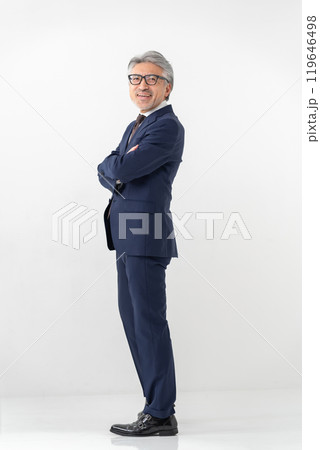 ビジネスマン グレイヘア 全身 ビジネスマン グレイヘア 全身 119646498