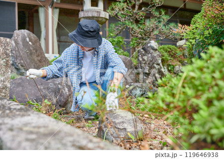 庭の手入れをする女性 日本庭園 田舎 空き家 草抜き 庭の手入れをする女性 日本庭園 田舎 空き家 草抜き 119646938