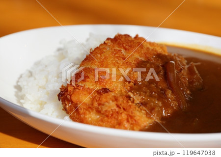 白いお皿とカツカレー 119647038