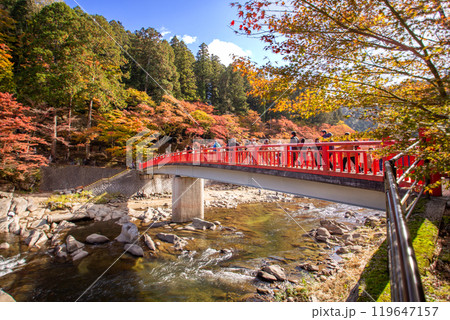 香嵐渓の紅葉と待月橋 香嵐渓の紅葉と待月橋 119647157