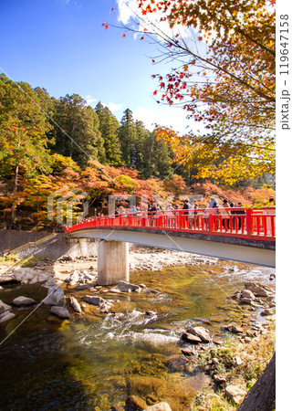 香嵐渓の紅葉と待月橋 香嵐渓の紅葉と待月橋 119647158