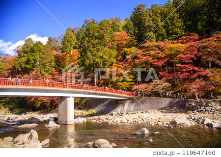 香嵐渓の紅葉と待月橋 香嵐渓の紅葉と待月橋 119647160