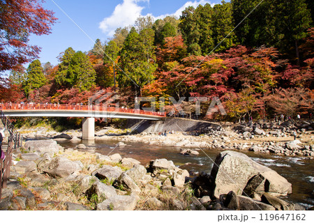 香嵐渓の紅葉と待月橋 香嵐渓の紅葉と待月橋 119647162