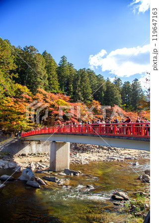 香嵐渓の紅葉と待月橋 香嵐渓の紅葉と待月橋 119647163