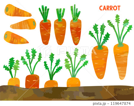 にんじんの切り絵風イラストセット にんじんの切り絵風イラストセット 119647874