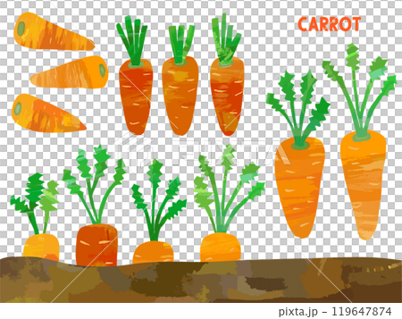 Carrot paper-cut illustration set 119647874