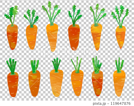 Carrot with leaves cutout style illustration 119647876
