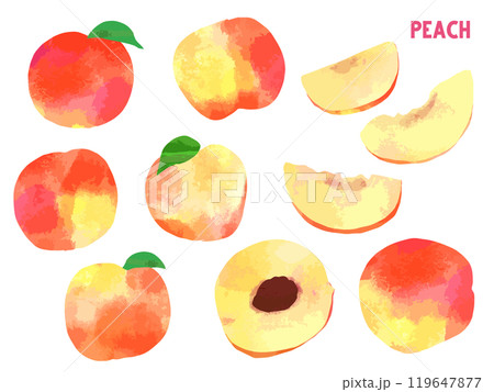 黄桃の切り絵風イラストセット 119647877