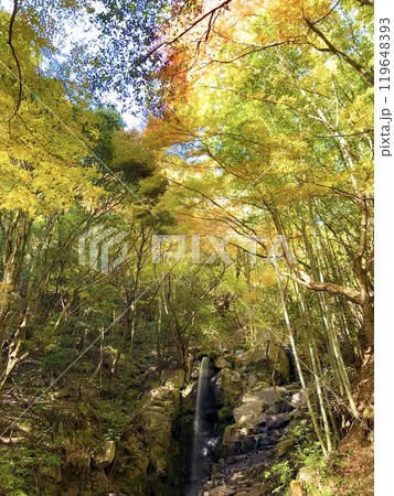 紅葉に包まれた滝 119648393