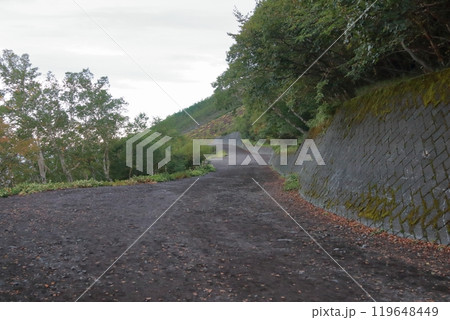 富士山5合目のからの眺め 富士山5合目のからの眺め 119648449