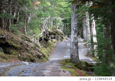 富士山5合目のからの眺め 富士山5合目のからの眺め 119648514