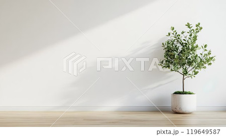 観葉植物と白背景10のイラスト素材 [119649587] - PIXTA
