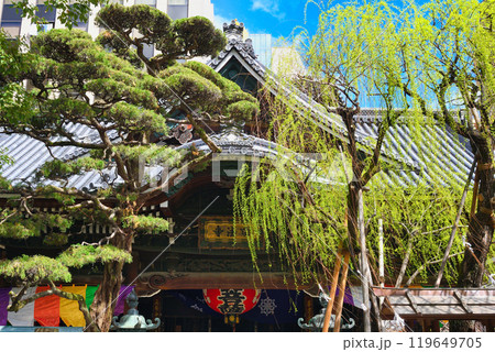 京都 紫雲山頂法寺 六角堂(京都市中京区) 京都 紫雲山頂法寺 六角堂(京都市中京区) 119649705