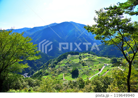 《岐阜県》揖斐川町 岐阜のマチュピチュ 天空の茶畑 《岐阜県》揖斐川町 岐阜のマチュピチュ 天空の茶畑 119649940