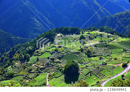 《岐阜県》揖斐川町　岐阜のマチュピチュ　天空の茶畑 119649941