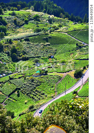 《岐阜県》揖斐川町 岐阜のマチュピチュ 天空の茶畑 《岐阜県》揖斐川町 岐阜のマチュピチュ 天空の茶畑 119649954