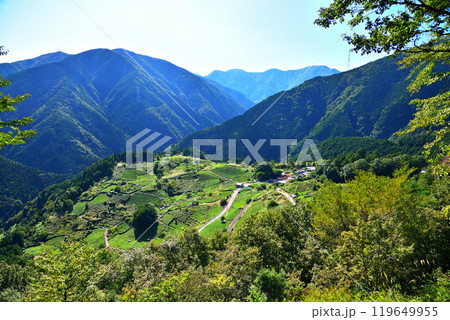 《岐阜県》揖斐川町 岐阜のマチュピチュ 天空の茶畑 《岐阜県》揖斐川町 岐阜のマチュピチュ 天空の茶畑 119649955