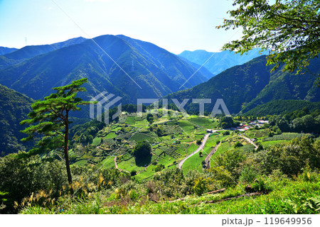 《岐阜県》揖斐川町 岐阜のマチュピチュ 天空の茶畑 《岐阜県》揖斐川町 岐阜のマチュピチュ 天空の茶畑 119649956