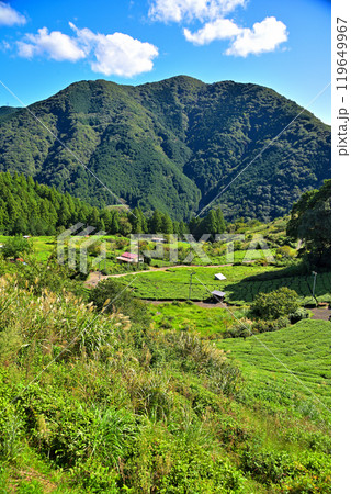 《岐阜県》揖斐川町 岐阜のマチュピチュ 天空の茶畑 《岐阜県》揖斐川町 岐阜のマチュピチュ 天空の茶畑 119649967