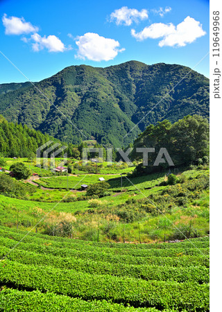 《岐阜県》揖斐川町　岐阜のマチュピチュ　天空の茶畑 119649968