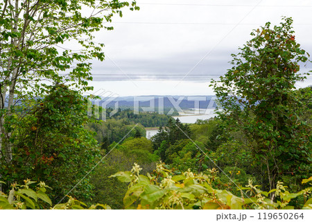 朱鞠内湖展望台からの眺め（北海道幌加内町） 119650264