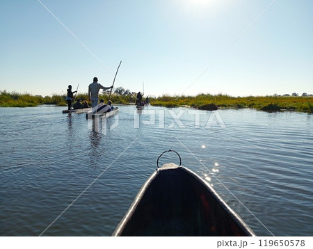 オカバンゴデルタの風景　ボツワナ　2 119650578