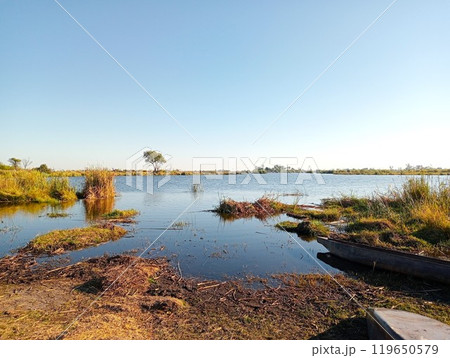 オカバンゴデルタの風景　ボツワナ　1 119650579
