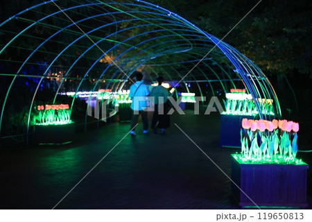 世界一美しいイルミネーション 119650813