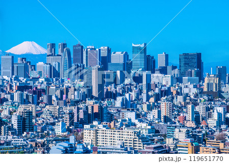 日本の東京都市景観 変貌する新宿や富士山。新宿副都心などを望む。東急歌舞伎町タワーの威容も＝10日 119651770