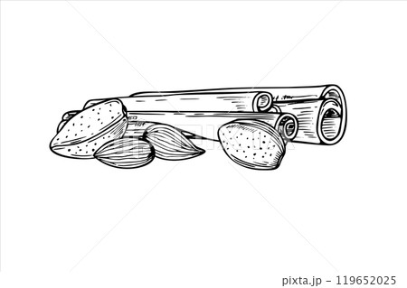 Almond seeds and cinnamon sticks pile vector isolated illustration in black and white colors. Nuts with seasoning ingredients monochrome illustration etching drawing for winter sweet desserts, drinks. Almond seeds and cinnamon sticks pile vector isolated illustration in black and white colors. Nuts with seasoning ingredients monochrome illustration etching drawing for winter sweet desserts, drinks. 119652025