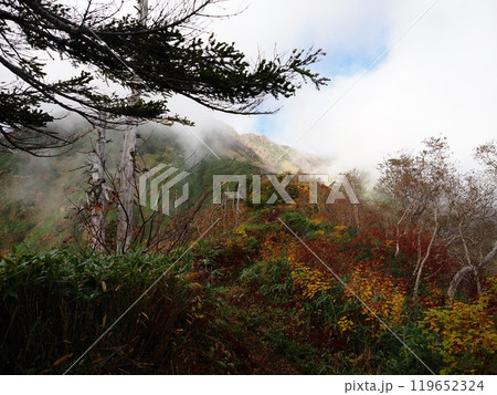 高妻山の紅葉と流れる雲 119652324