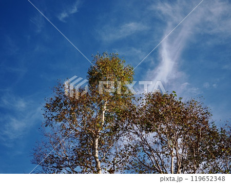 妙高高原の秋空 妙高高原の秋空 119652348