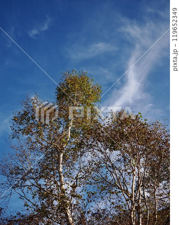妙高高原の秋空 妙高高原の秋空 119652349